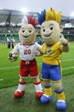 Polska v Francja - Międzynarodowy mecz towarzyski w ramach przygotowań do Euro 2012 