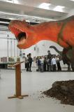 13 Styczeń 2011, Wystawa Dinozaurów i eksponatów z czasów prehistorycznych: Gdy Żyły Dinozaury - Historia z głębi ziemi.Wystawę można podziwiać codziennie od 7 do 23 Stycznia 2011 w  Gdańskim Parku Naukowo - Technologicznym. Fot. Magdalena Żuber / GrFoto.org