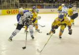 1 Październik 2010; GKS Stoczniowiec v MMKS Podhale Nowy Targ  - Ekstraliga PLH 2010/2011 - runda I. Hala Olivia, Gdańsk. Fot. Tomasz Żuber / GrFoto.org