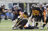 1 Maj 2011; Seahawks Gdynia v Warsaw Eagles - czwarta kolejka spotkań I PLFA. Narodowy Stadion Rugby, Gdynia. Fot. Tomasz Żuber / GrFoto.org