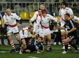 13 Listopad 2010; Polska v Mołdawia - Puchar Narodów Europy, Dywizja 1B. Narodowy Stadion Rugby, Gdynia. Fot. Tomasz Żuber / GrFoto.org