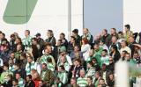 8 Maj 2011; Kibice podczas spotkania. Dwudziesta piąta kolejka Ekstraklasy 2010/2011 - Lechia Gdańsk v Wisła Kraków. Stadion Miejski, Gdańsk. Fot. Tomasz Żuber / GrFoto.org *** Local Caption *** 8 May 2011; Supporters during the match. Ekstraklasa 2010/2011, Round 25 - Lechia Gdańsk v Wisła Kraków. City Stadium of Traugutta, Gdansk. Picture credit: Tomasz Żuber / GrFoto.org