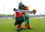 8 Maj 2011; Maskotki obydwu drużyn. Dwudziesta piąta kolejka Ekstraklasy 2010/2011 - Lechia Gdańsk v Wisła Kraków. Stadion Miejski, Gdańsk. Fot. Tomasz Żuber / GrFoto.org