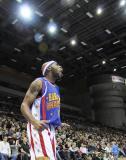 23 Październik 2010; Niezwyły występ legendarnego zespołu Harlem Globetrotters w Ergo Arenie. Pokazowy mecz rozegrali z zespołem Washington Generals, prezentując wsady do kosza i koszykarskie triki angażując do zabawy publiczność. Harlem Globetrotters Poland Tour 2010, Hala Ergo Arena, Gdańsk - Sopot. Fot. Magdalena Żuber / GrFoto.org