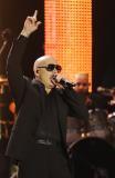 7 Czerwiec 2012; Koncert TEDE i Pitbull zainaugurował działenie Gdańskiej Strefy Kibica. Wystepy zgromadziły ok. 5 tyś rozśpiewanych fanów i kibiców. Plac Zebrań Ludowych, Gdańsk. Fot. Tomasz Żuber / GrFoto.org