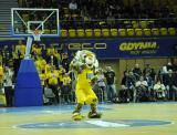 27 Październik 2010; Asseco Prokom v Caja Laboral Vitoria - Turkish Airlines Euroleague. HSW Gdynia. Fot. Tomasz Żuber / GrFoto.org