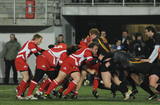 12 Marzec 2011; Polska v Belgia - Puchar Narodów Europy, Dywizja 1B. Narodowy Stadion Rugby, Gdynia. Fot. Tomasz Żuber / GrFoto.org