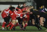 12 Marzec 2011; Polska v Belgia - Puchar Narodów Europy, Dywizja 1B. Narodowy Stadion Rugby, Gdynia. Fot. Tomasz Żuber / GrFoto.org