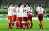 19 Listopad 2008; Polscy pilkarze po zdobyciu otwierajacego gola podczas meczu Irlandia v Polska - Miedzynarodowy Mecz Towarzyski, Croke Park, Dublin, Irlandia. Fot. Tomasz Zuber / GrFoto.org *** Local Caption *** 19 November 2008; International friendly - Republic of Ireland v Poland. Croke Park, Dublin, Ireland. Picture credit: Tomasz Zuber / GrFoto.org