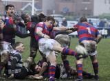 29 Listopad 2008; Clontarf v Blackrock College - All Ireland League. Clontarf Rugby Club, Dublin. Irlandia. Fot. Tomasz Zuber / GrFoto.org *** Local Caption *** 29 November 2008; Clontarf v Blackrock College - All Ireland League. Clontarf Rugby Club, Dublin. Ireland. Picture credit: Tomasz Zuber / GrFoto.org