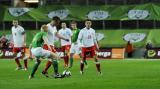 19 Listopad 2008; Irlandia v Polska - Miedzynarodowy Mecz Towarzyski, Croke Park, Dublin, Irlandia. Fot. Tomasz Zuber / GrFoto.org *** Local Caption *** 19 November 2008; International friendly - Republic of Ireland v Poland. Croke Park, Dublin, Ireland. Picture credit: Tomasz Zuber / GrFoto.org