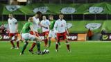 19 Listopad 2008; Irlandia v Polska - Miedzynarodowy Mecz Towarzyski, Croke Park, Dublin, Irlandia. Fot. Tomasz Zuber / GrFoto.org *** Local Caption *** 19 November 2008; International friendly - Republic of Ireland v Poland. Croke Park, Dublin, Ireland. Picture credit: Tomasz Zuber / GrFoto.org