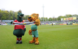 8 Maj 2011; Maskotki obydwu drużyn. Dwudziesta piąta kolejka Ekstraklasy 2010/2011 - Lechia Gdańsk v Wisła Kraków. Stadion Miejski, Gdańsk. Fot. Tomasz Żuber / GrFoto.org