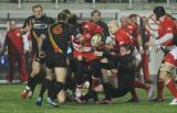 12 Marzec 2011; Polska v Belgia - Puchar Narodów Europy, Dywizja 1B. Narodowy Stadion Rugby, Gdynia. Fot. Tomasz Żuber / GrFoto.org