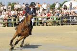 12 Czerwiec 2011; Sanctos Van Het Gravenhof, w siodle Katharina Offel, Ukraina, podczas międzynarodowych zawodów jeździeckich w skokach przez przeszkody. Grand Prix Sopotu o Puchar NDI S.A. i nagrodę Prezydenta RP Bronisława Komorowskiego. Konkurs kwalifikacyjny do Olimpiady 2012 i ME seniorów 2011. Hipodrom, Sopot. Fot. Tomasz Żuber / GrFoto.org